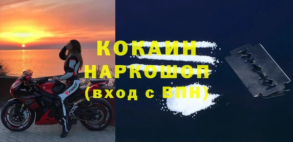 стаф Новозыбков