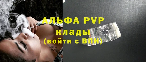 стаф Новозыбков