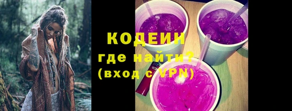 стаф Новозыбков