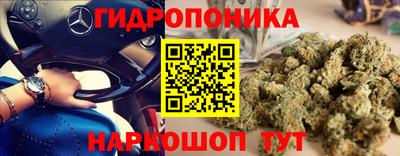 стафф Берёзовский