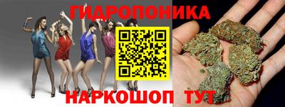 ешки Гагарин