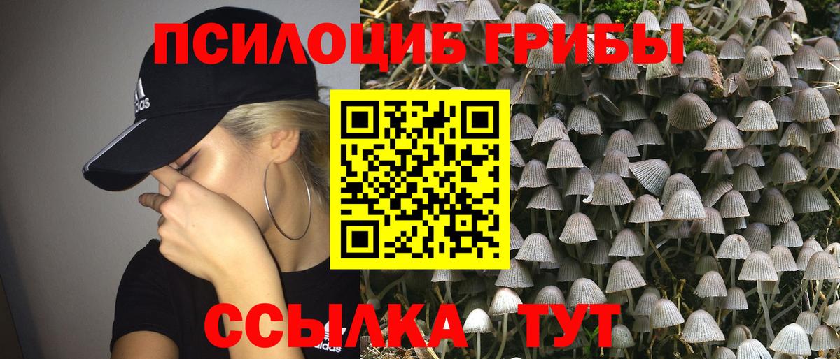 Галлюциногенные грибы Cubensis  Вход с VPN  Вольск  наркота  Галлюциногенные грибы мицелий 