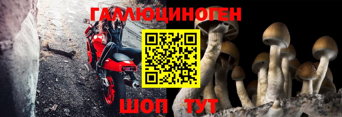 Псилоцибиновые грибы прущие грибы Вольск