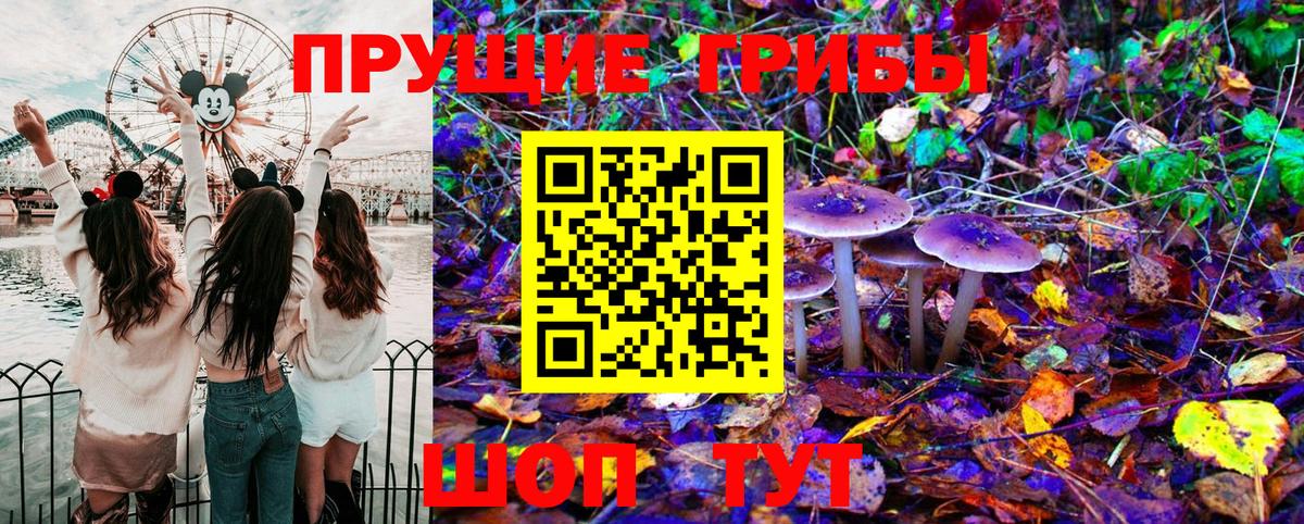 Псилоцибиновые грибы Magic Shrooms Вольск